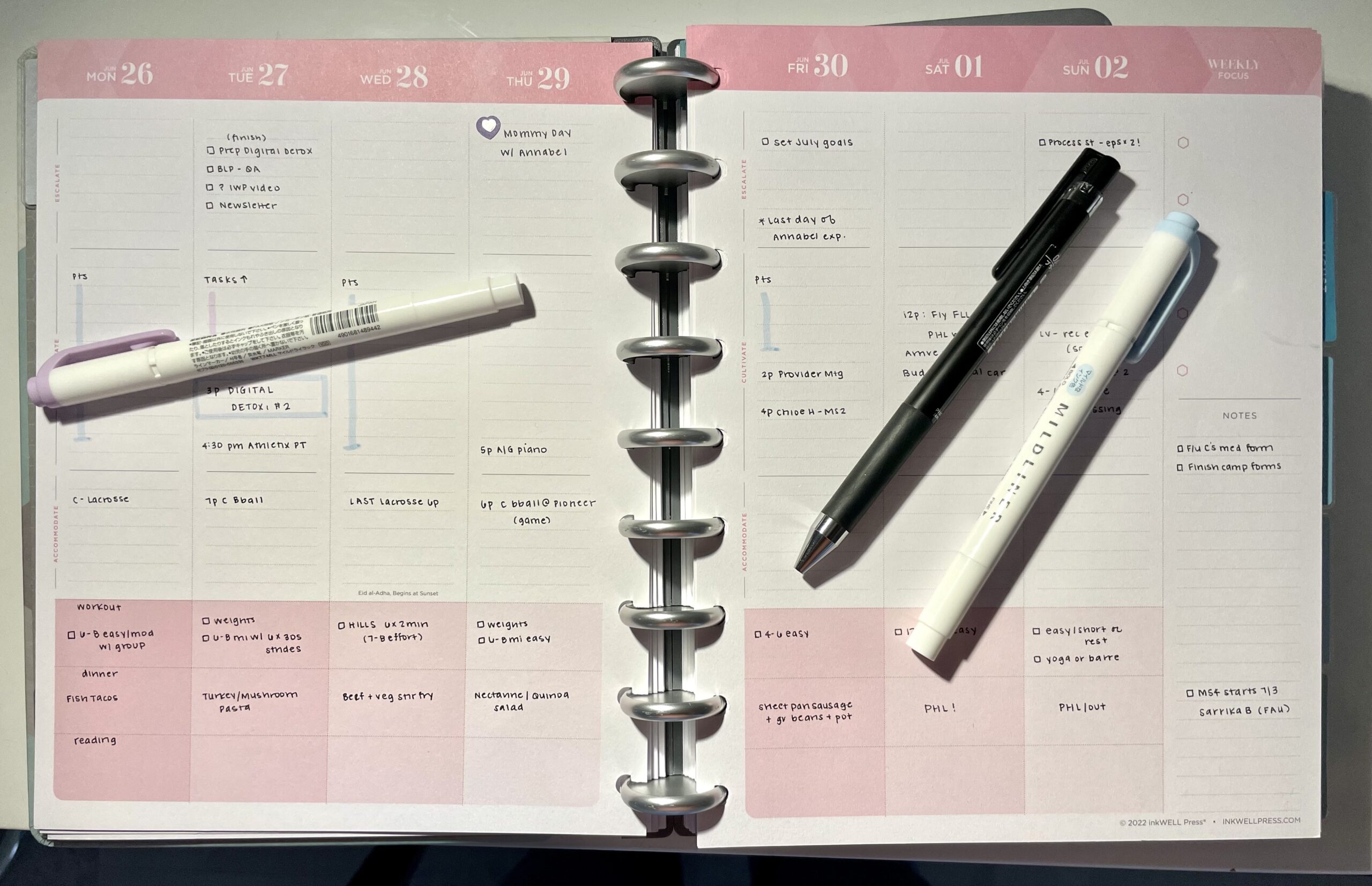 Arc Punch Review: Best Punch for Discbound Planners 